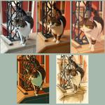 Our Cat's Story